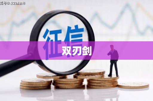杭州双刃剑